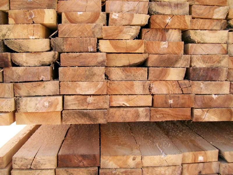 供应加蓬-刚果/加拿大进口木材濒危证办理需要多少费用