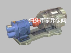 供应泊泰邦YCB圆弧齿轮泵YCB-25/2.5 专注专业环保