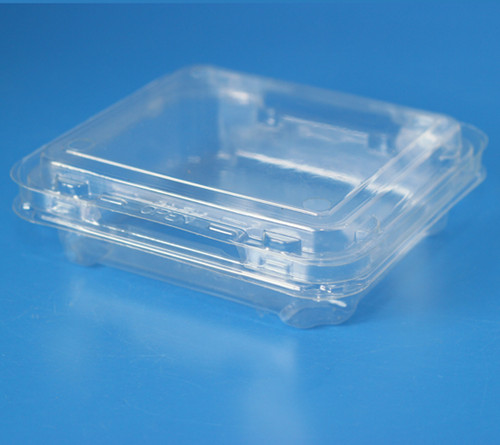供应蓝莓盒 塑料盒