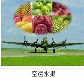 供应深圳空运红酒宠物水果海鲜到哈尔滨