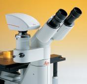 立式材料显微镜 徕卡DM4 M和DM6 M