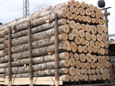 木材进口物流成本&木材进口代理报关公