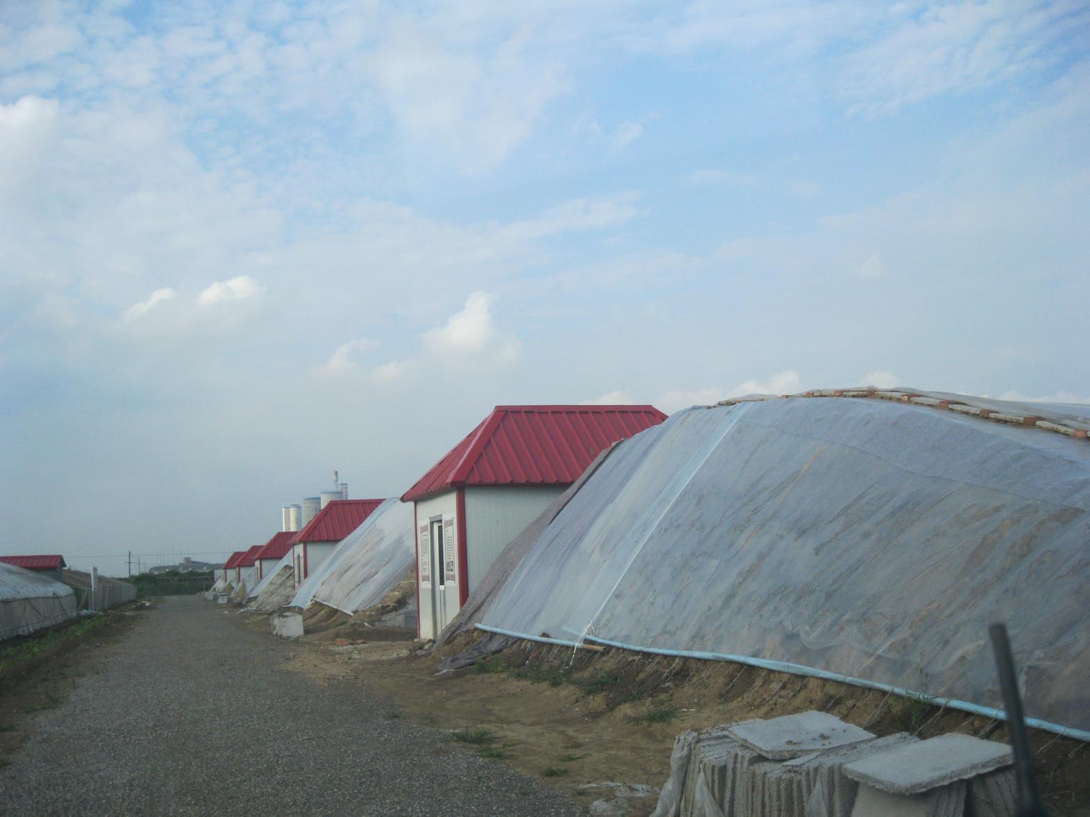 舜龙农业专业提供日光温室大棚建设技术