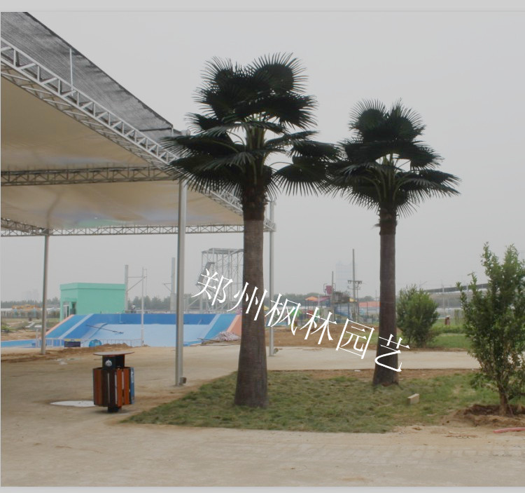 供应室外棕榈树人造假树造景工程生态公园家庭小区装饰