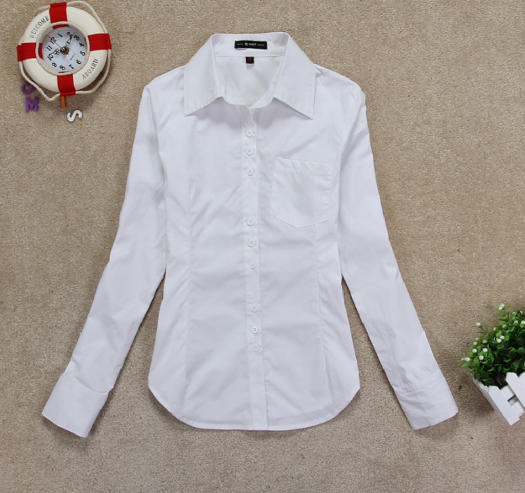 供应大码女装2013韩版职业女装 女式衬衫 纯棉修身长袖衬衣