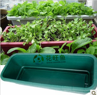 供应长方形塑料花盆 阳台种菜盆