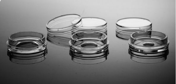 NEST玻底培养皿便于共聚焦显微镜观察 ,细胞爬片，盖玻片,PCR96孔板