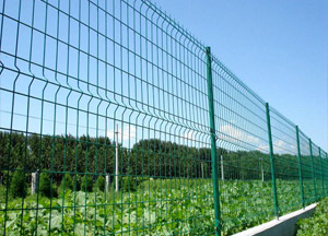 供应多种防护网、护栏网、隔离栅等优质护栏网——安平长明网栏