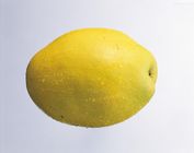 西安原生厂家专业生产低价倾销木瓜提取物