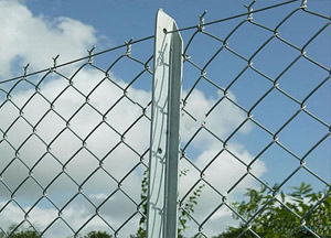 供应优质护栏网、隔离栅等各种防护网——安平长明网栏