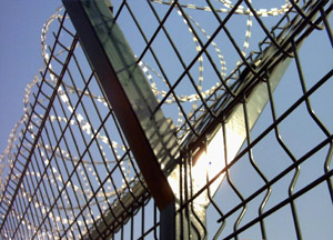 供应安平德明公司生产各种护栏网、围栏、隔离栅