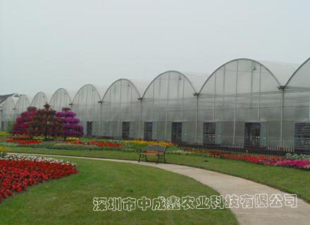 供应对称拱型--连栋薄膜温室 蔬菜大棚 花卉种植 温室大棚建设
