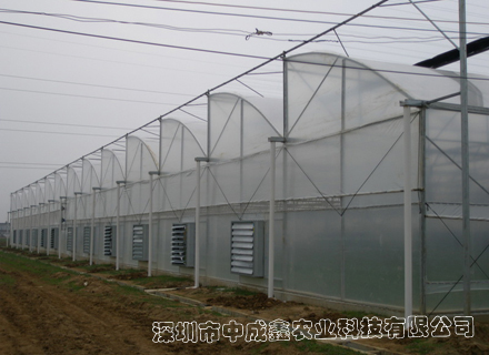 供应锯齿型连栋薄膜温室 蔬菜大棚 花卉种植 温室大棚建设