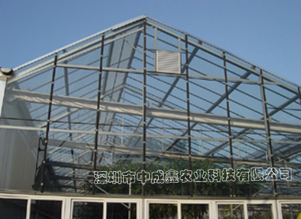 供应单体玻璃温室 蔬菜大棚 花卉种植 温室大棚建设