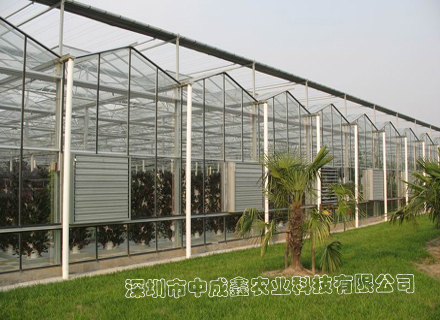 供应文洛型--玻璃连栋温室 蔬菜大棚 花卉种植 温室大棚建设