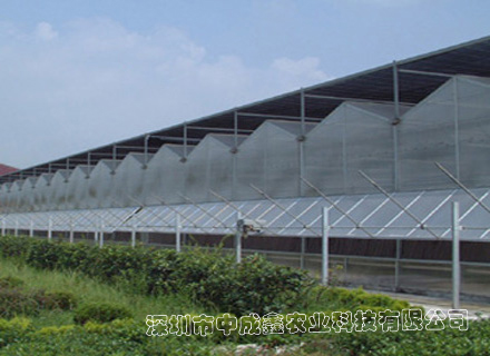 供应PC板&玻璃温室 蔬菜大棚 花卉种植 温室大棚建设