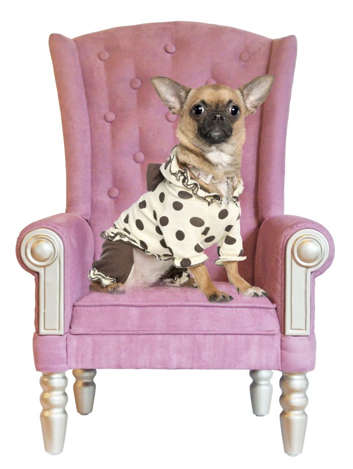 新古典银色框架浅紫色麂皮绒面料高背宠物沙发