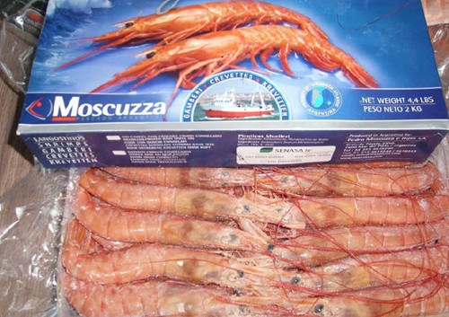 供应阿根廷冷冻红虾南美对虾 马面鱼 马加鱼 马头鱼 明太鱼 鳕鱼