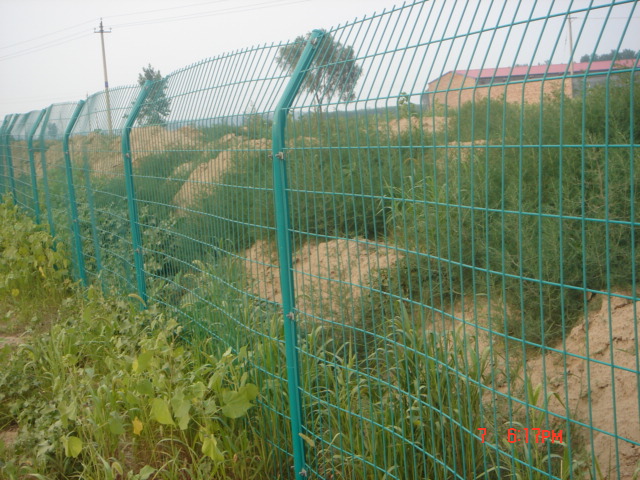 浸塑围栏网，圈地养殖围栏网，浸塑草绿色焊接隔离网