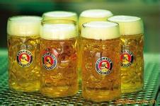 供应贸易公司广州进口德国啤酒需要哪些条件