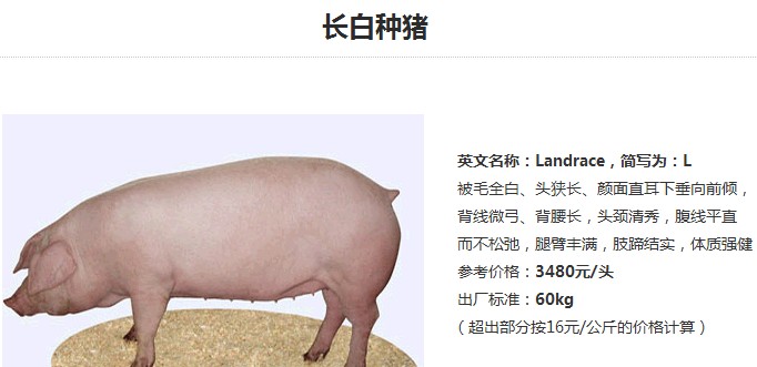 内江长白种猪价格，天兆猪业养猪系统工程*！