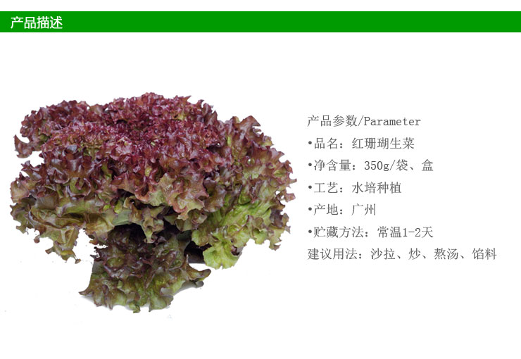 澳洲红珊瑚生菜