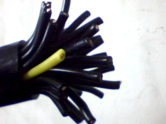 耐寒电缆 LH-YFFR 3*10mm2