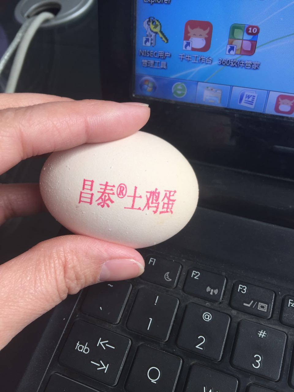 天津鸡蛋喷码机 单排鸡蛋喷码机 小捣蛋鸡蛋打码机