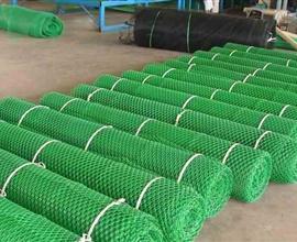 养鸡养鸭网水产养殖塑料网、防护养殖网、养殖塑料网专业生产厂家