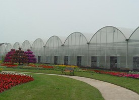 专业建造连栋温室大棚：的连栋温室大棚建造就在北方园艺温室