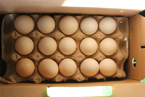 郑州散养柴鸡蛋、郑州散养土鸡蛋、柴鸡蛋、土鸡蛋