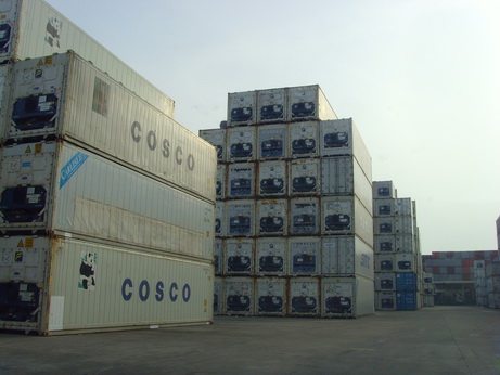 南沙港可以提供特种柜的物流公司