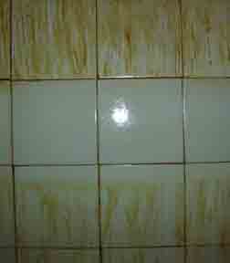 卫生间除垢除锈剂便池除垢剂瓷砖清洗剂
