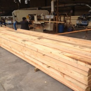花旗松板材、铁杉板材、樟子松板材、松木板材、铁松板材