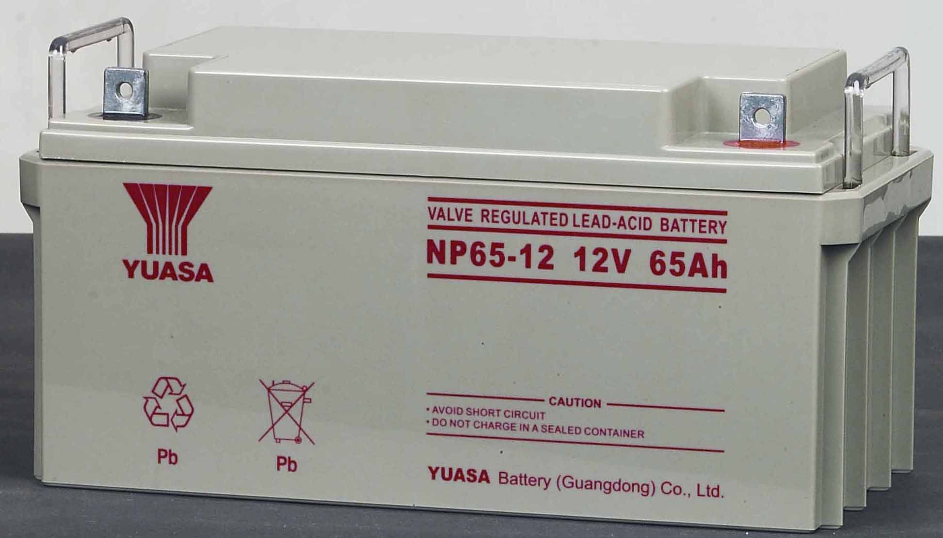 汤浅UPS蓄电池NP100-12
