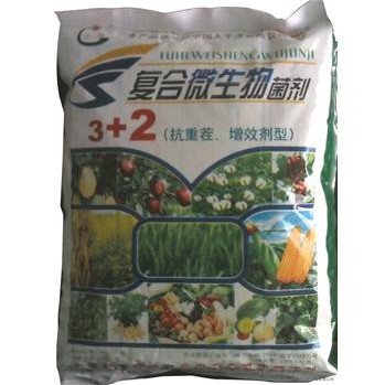辣椒生根,壮苗,根治线虫 3+2复合微生物菌剂
