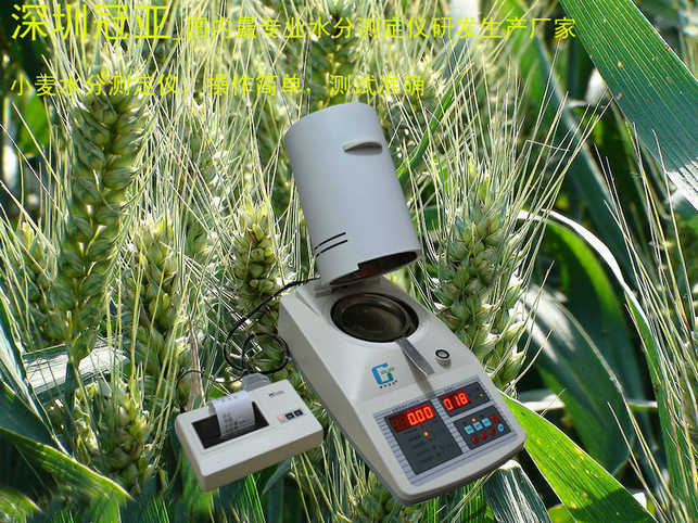 小麦水分检测仪、小麦含水量测定仪