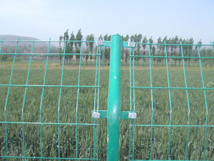 养殖场用绿色铁丝围网/车间隔离铁丝网找闫玉