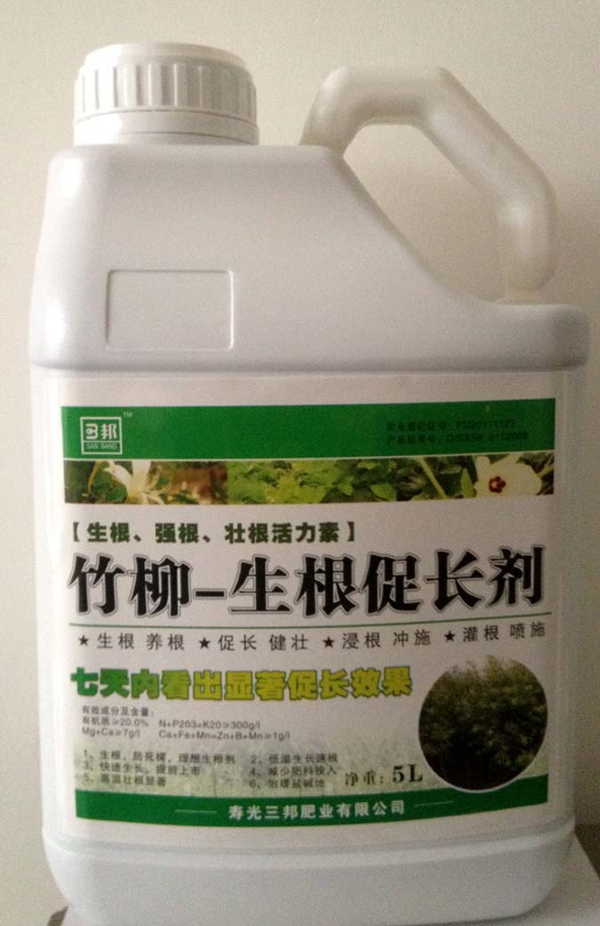 竹柳-生根促长剂