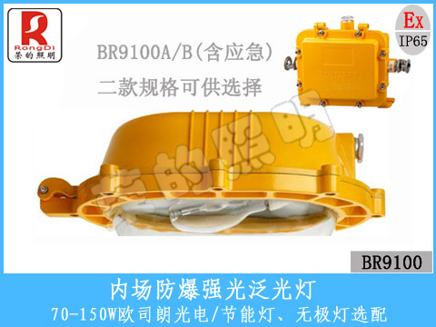 BFC8120同款内场强光防爆泛光灯专业厂家报价