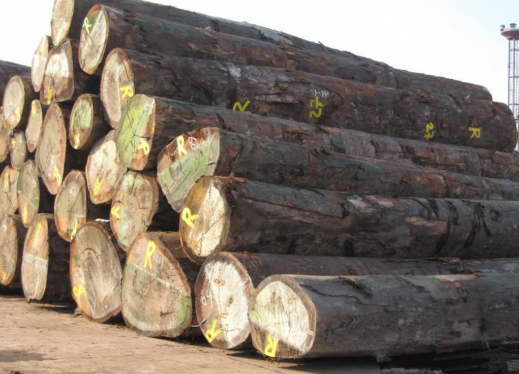 木材进口清关时间要多久|广州进口木材报关公司
