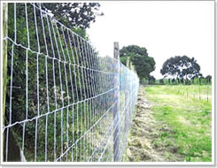 厂家供应---护栏、护栏网-**隔离网 草原护栏网 花园护栏网