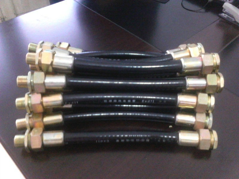 防爆软管，BNG系列防爆挠性连接管