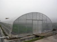 温室大棚图片_温室大棚施工图_上海农程温室大棚的真实图片