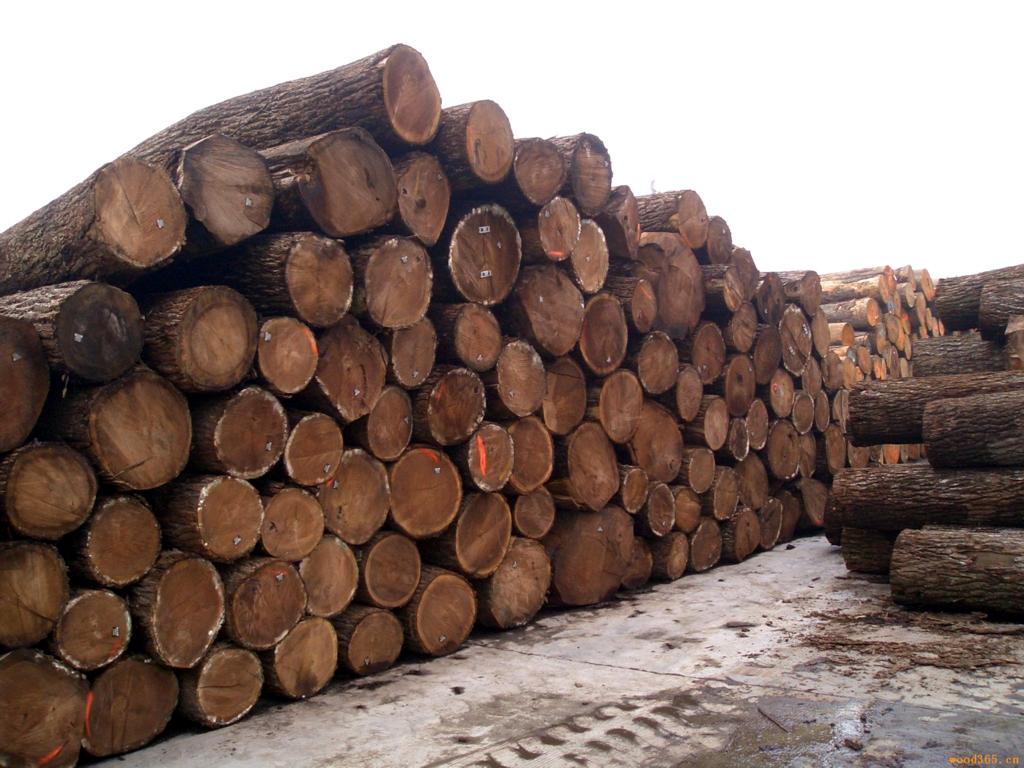 非洲大小鸡翅木进口报关流程|木材进口代理公司