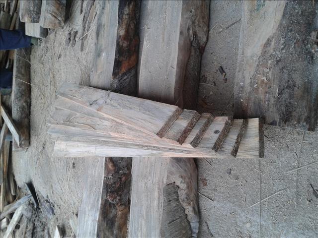 木材包装材料 松木 安树