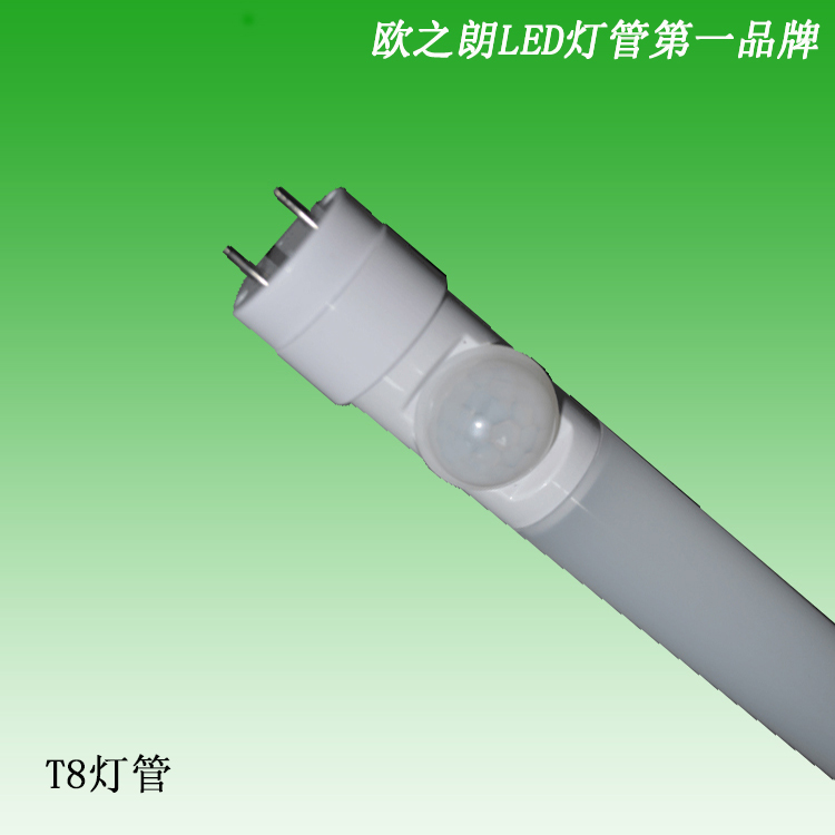 高流明恒流宽电压ledt8灯管 节能环保t8单管 厂家直销