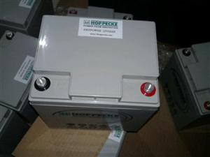 NPL系列汤浅蓄电池12V65AH免维护蓄电池经销商