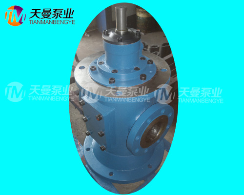立式螺杆泵 SNS280R43U12.1W2