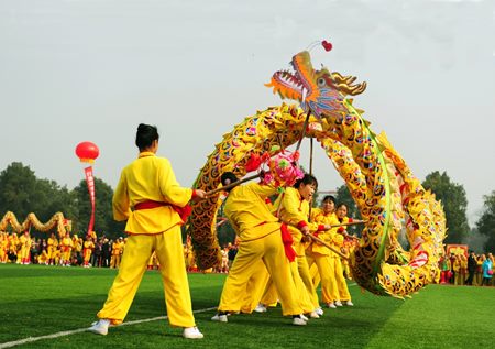 供应金黄色南狮龙狮道具澳洲羊毛